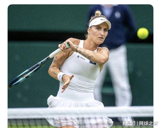 贝利的影响 贝利的影响