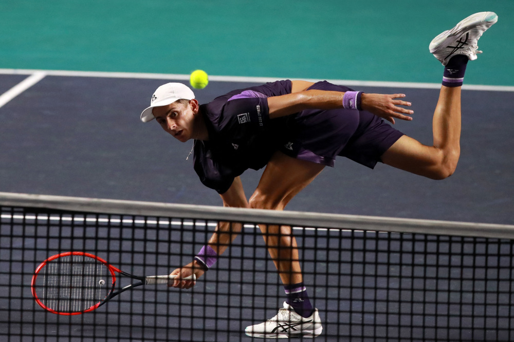 她有望在未 她有望在未